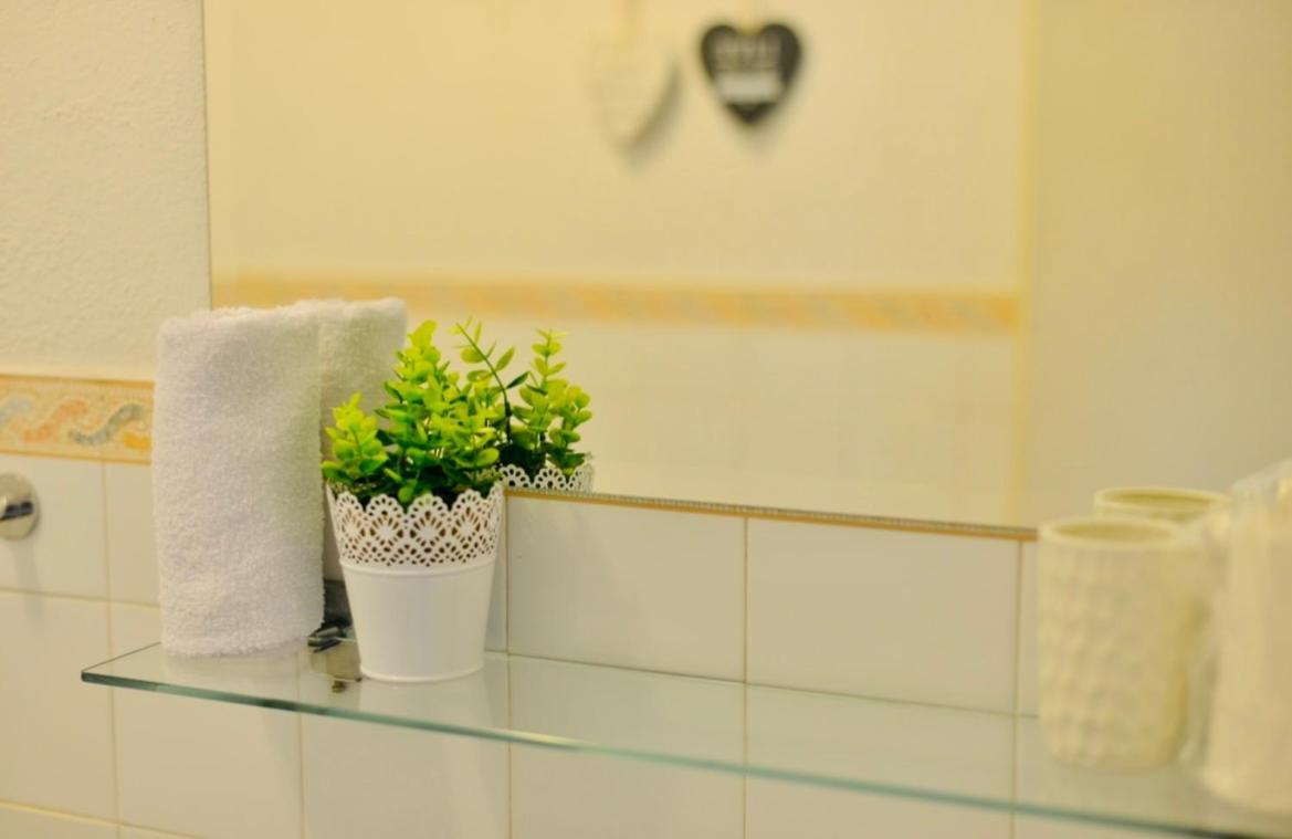 Apartment Niksa Novigrad  Esterno foto
