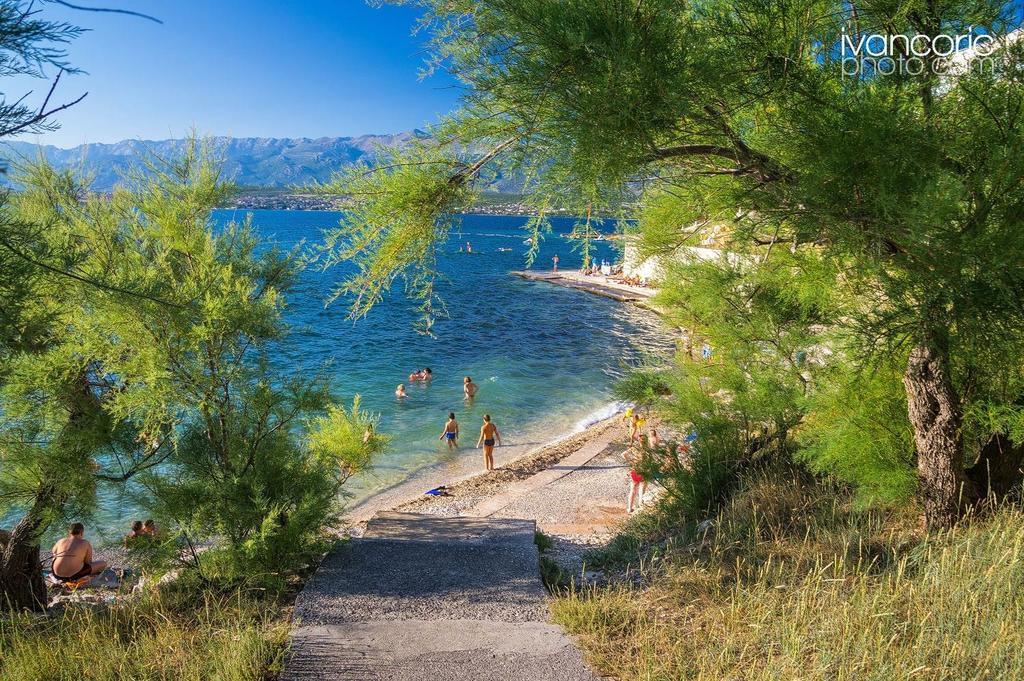 Apartment Niksa Novigrad  Esterno foto
